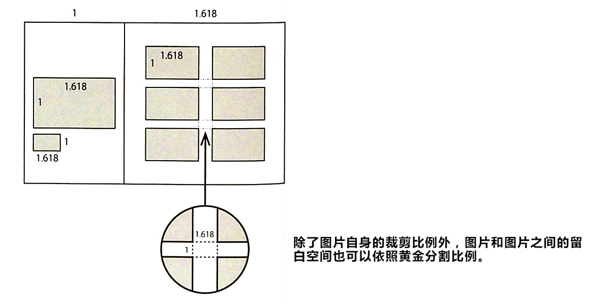 黃金比例講解