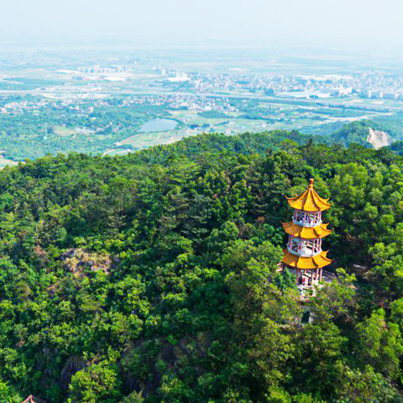 謝崗 銀瓶山森林公園